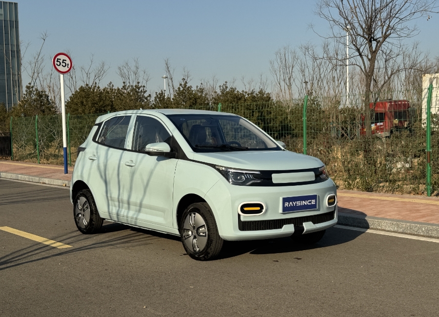 Raysince Electric Car Catalogue 2025.pdf