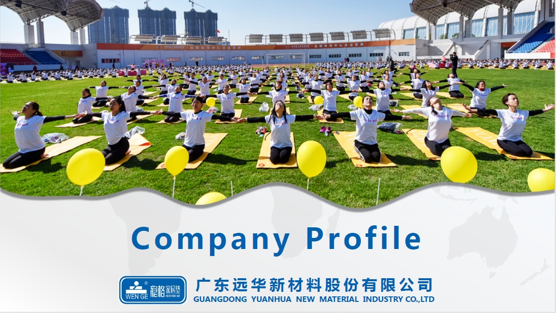 MIC-Yuanhua company profile.pdf
